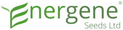 energene_logo.png